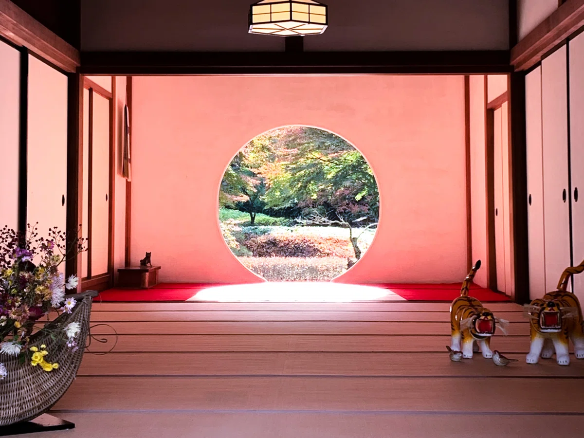 画像4
