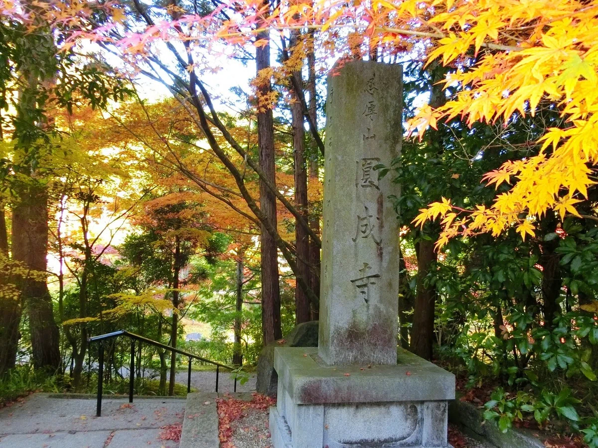 画像3