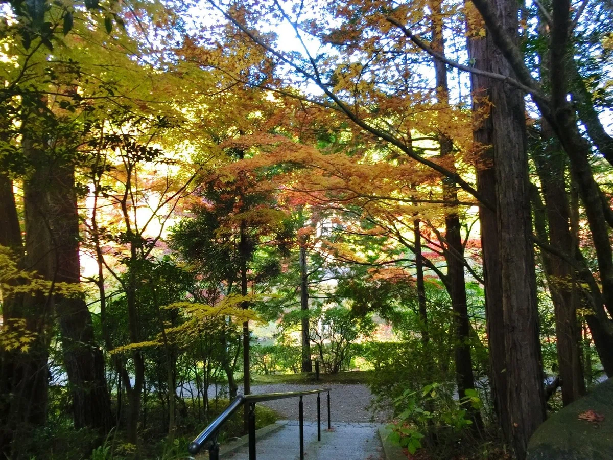 画像5