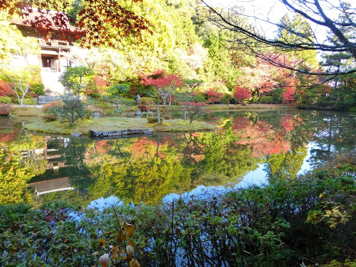 画像7