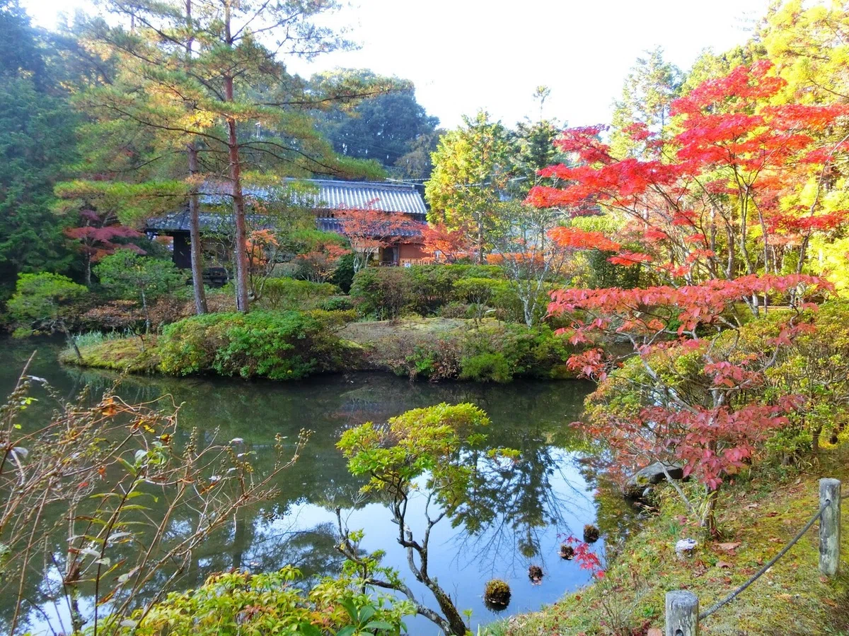 画像9