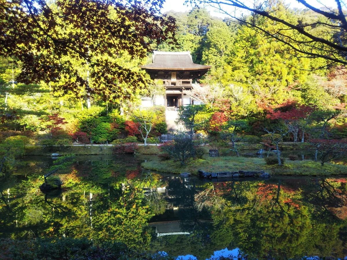 画像12