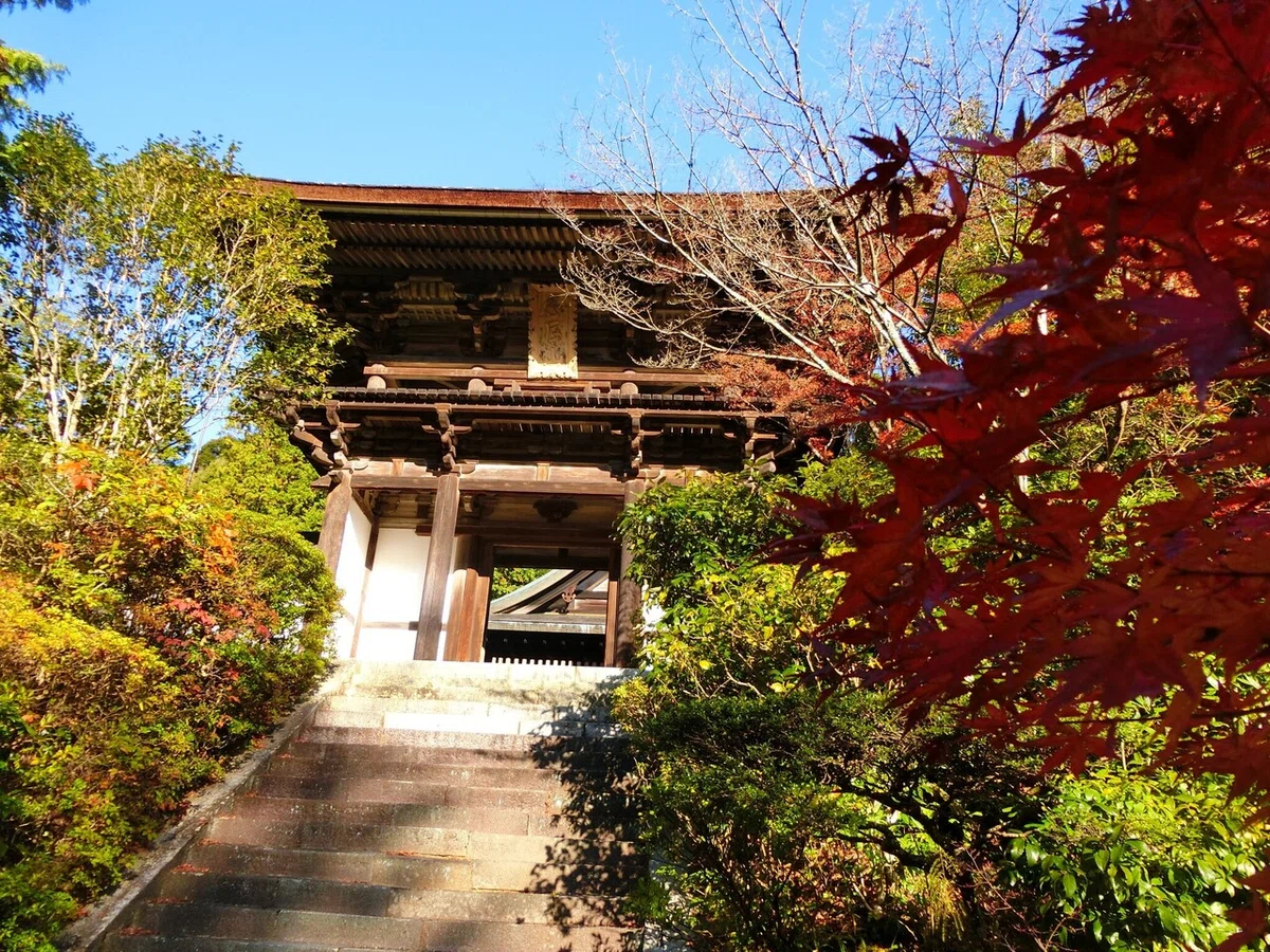 画像13