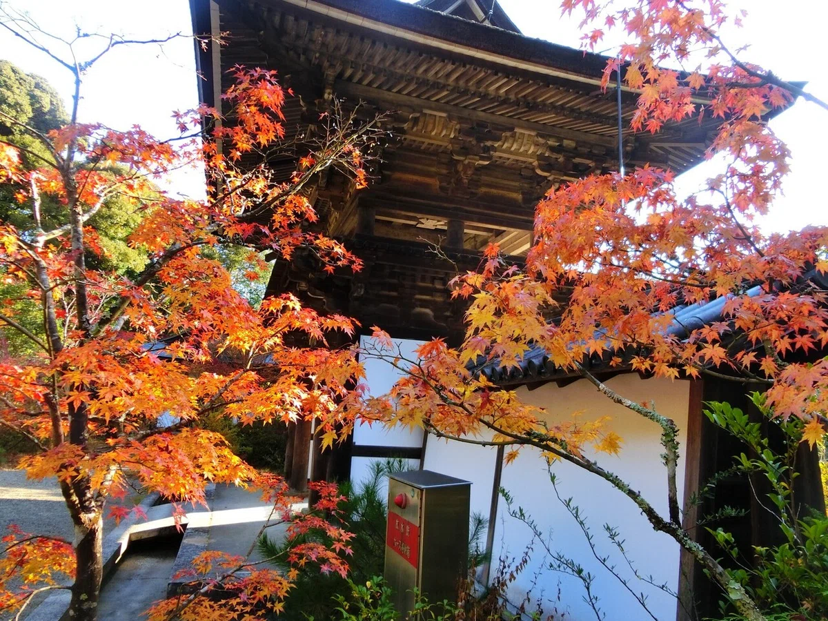 画像14