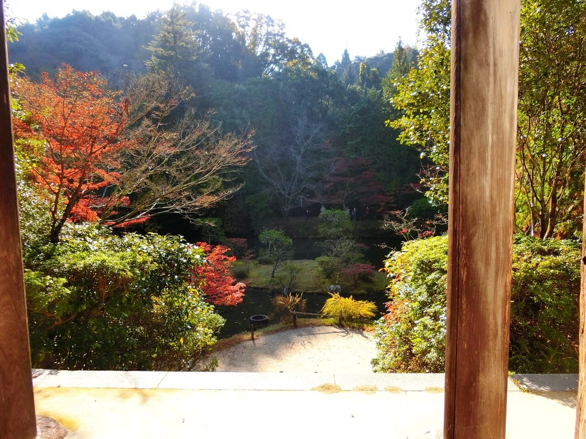 画像15