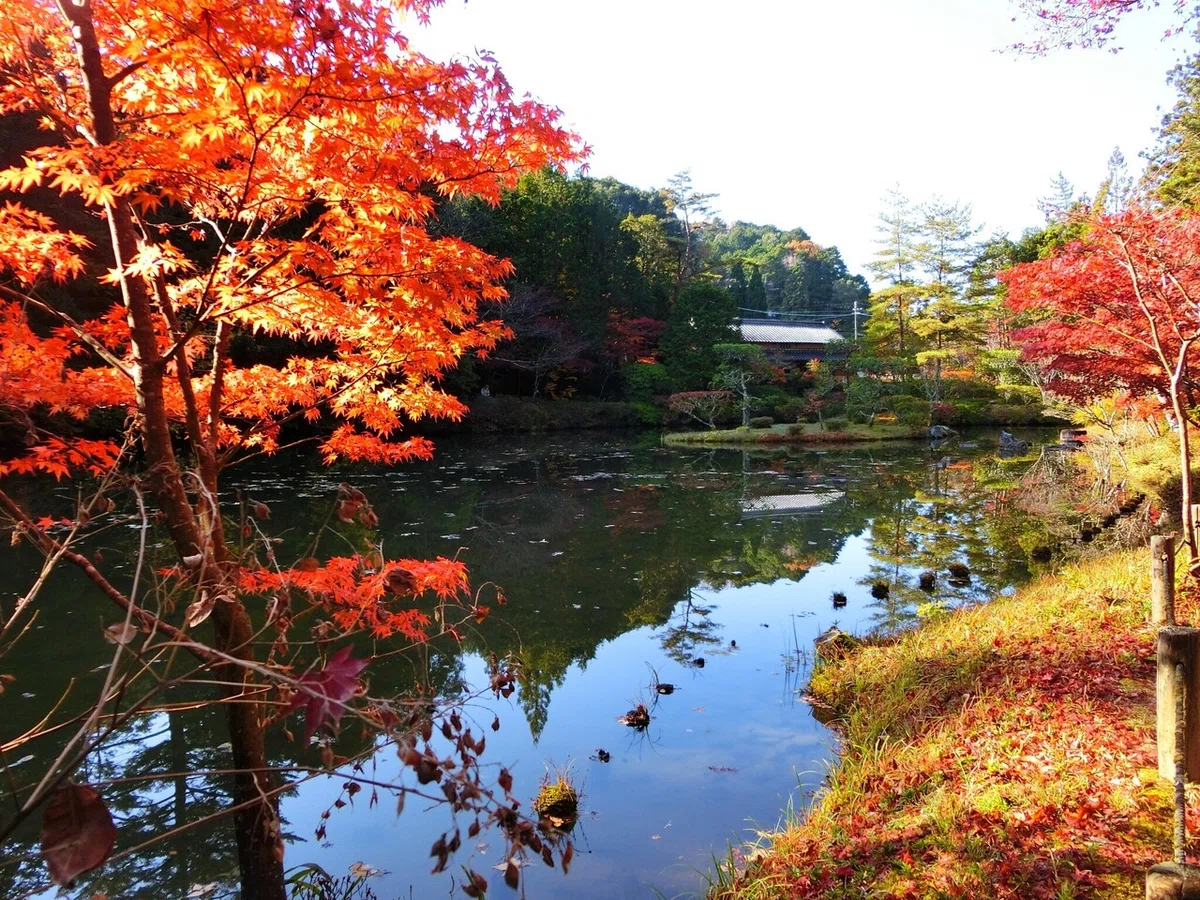 画像16