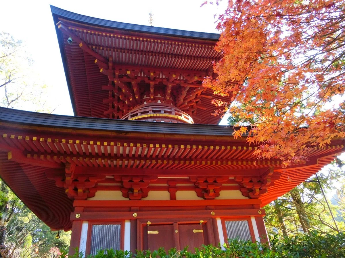 画像19