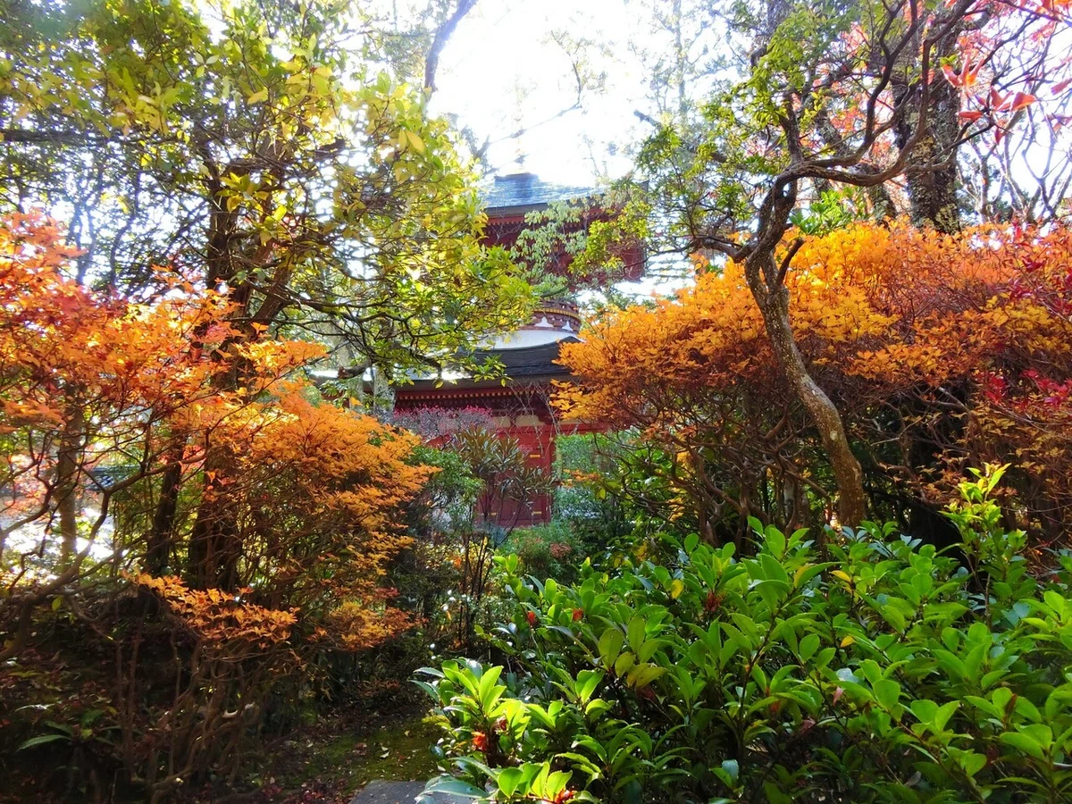 画像21