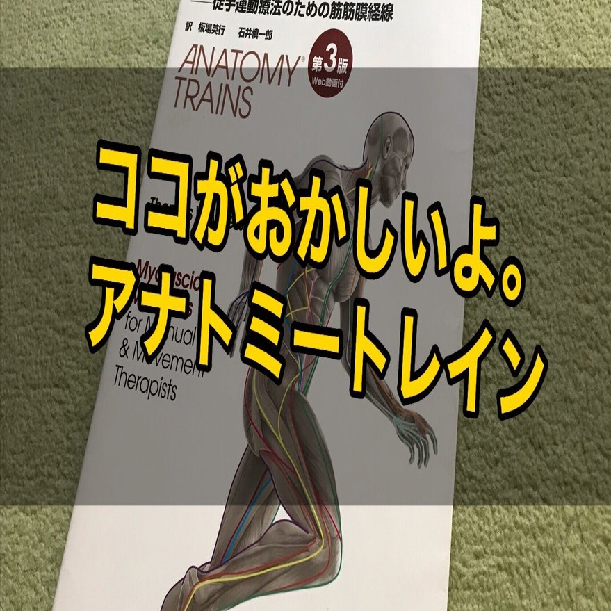 ココがおかしいよ。アナトミートレイン｜はな先生｜整体師のための医療