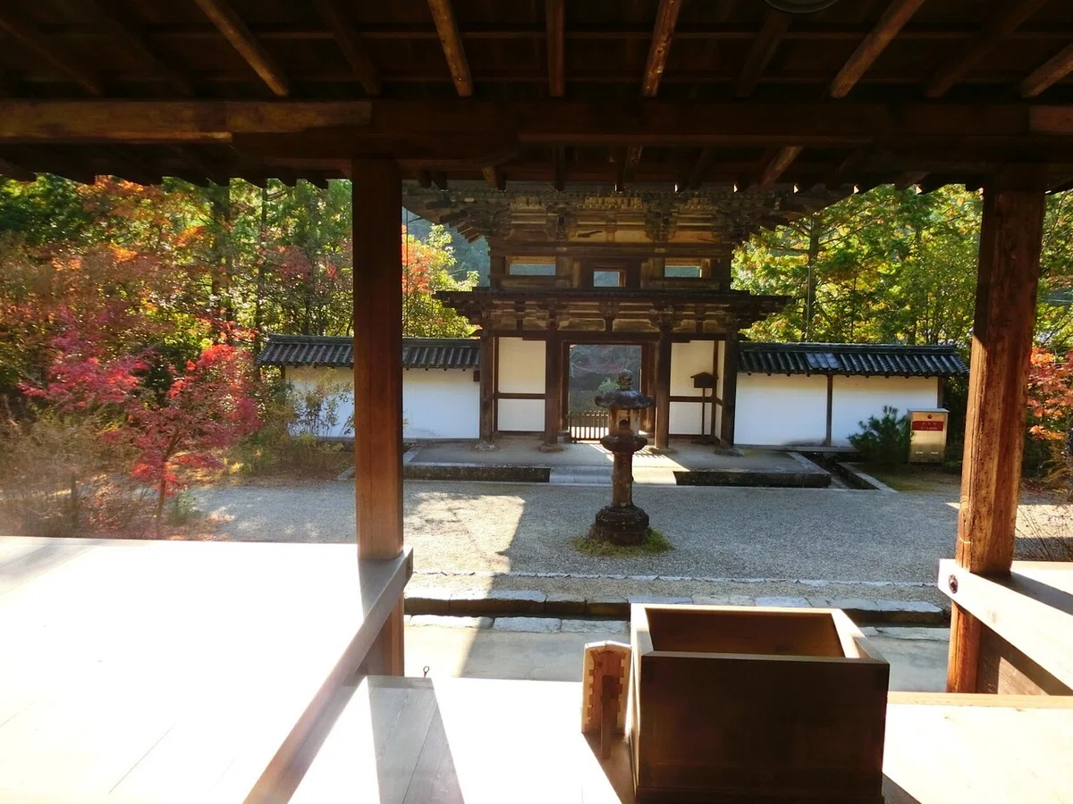 画像24