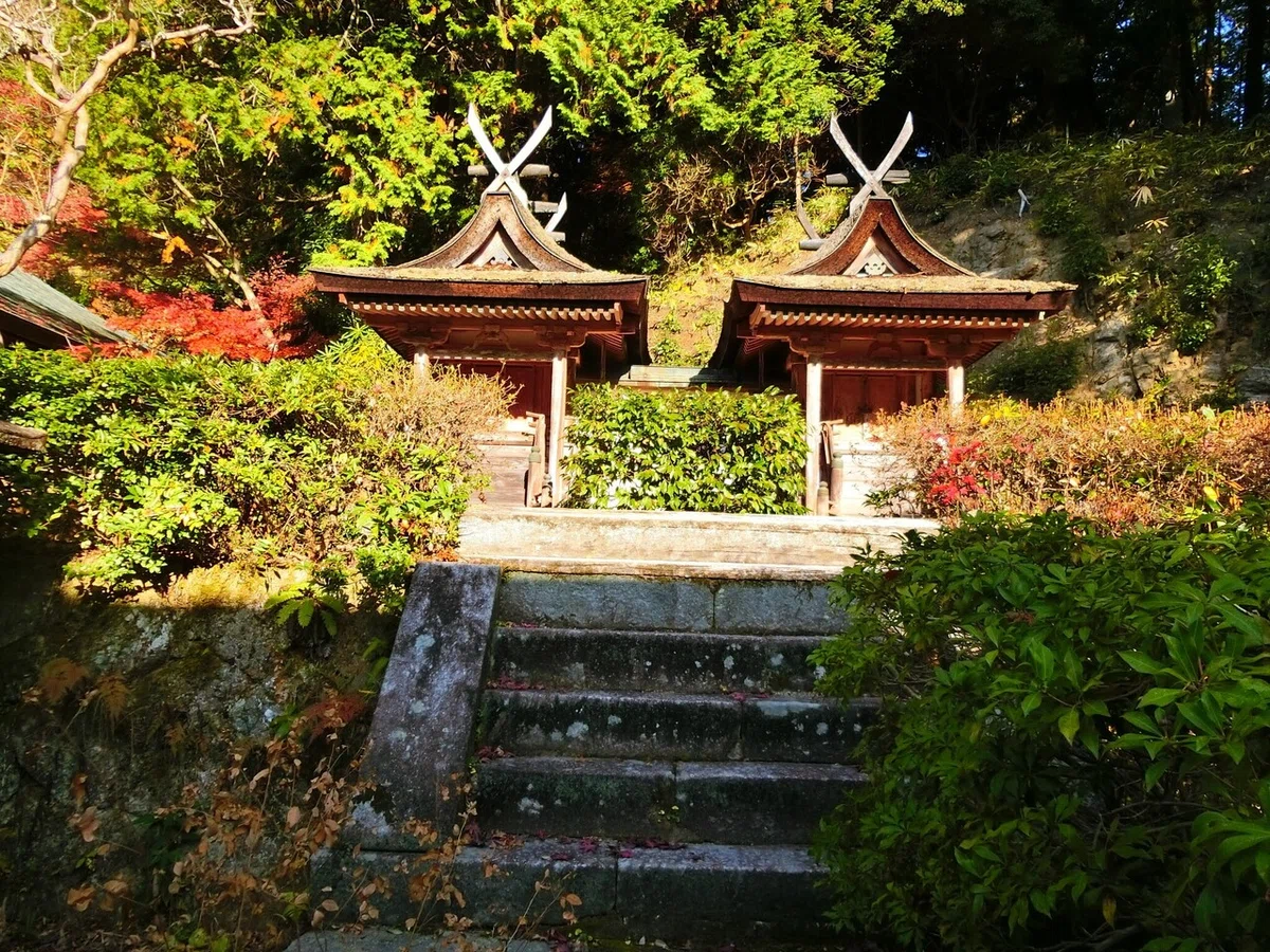 画像25