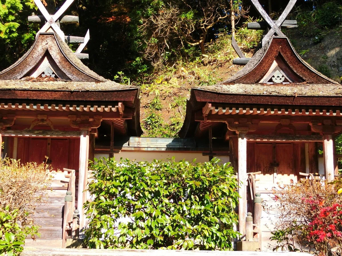 画像27