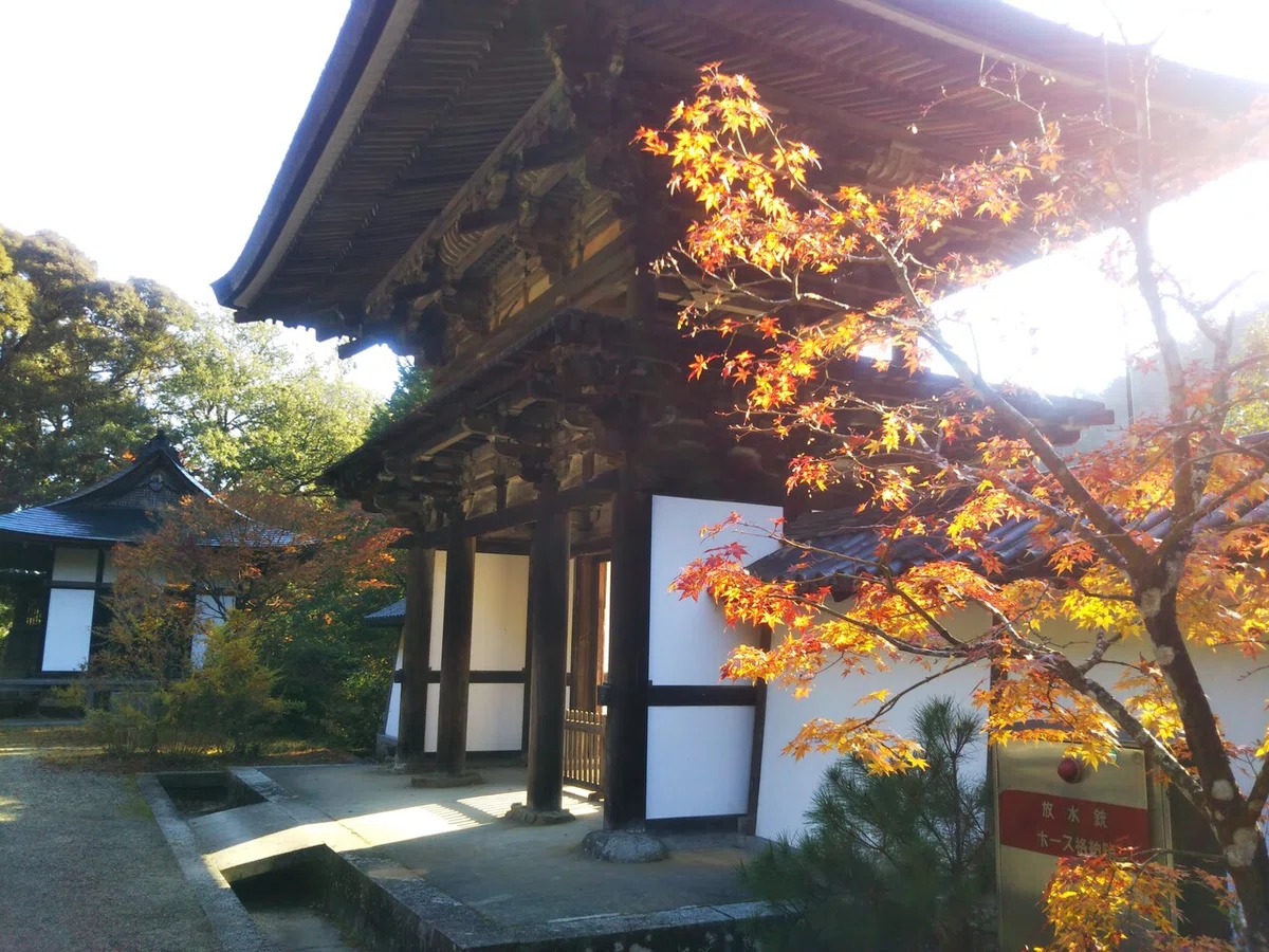 画像31