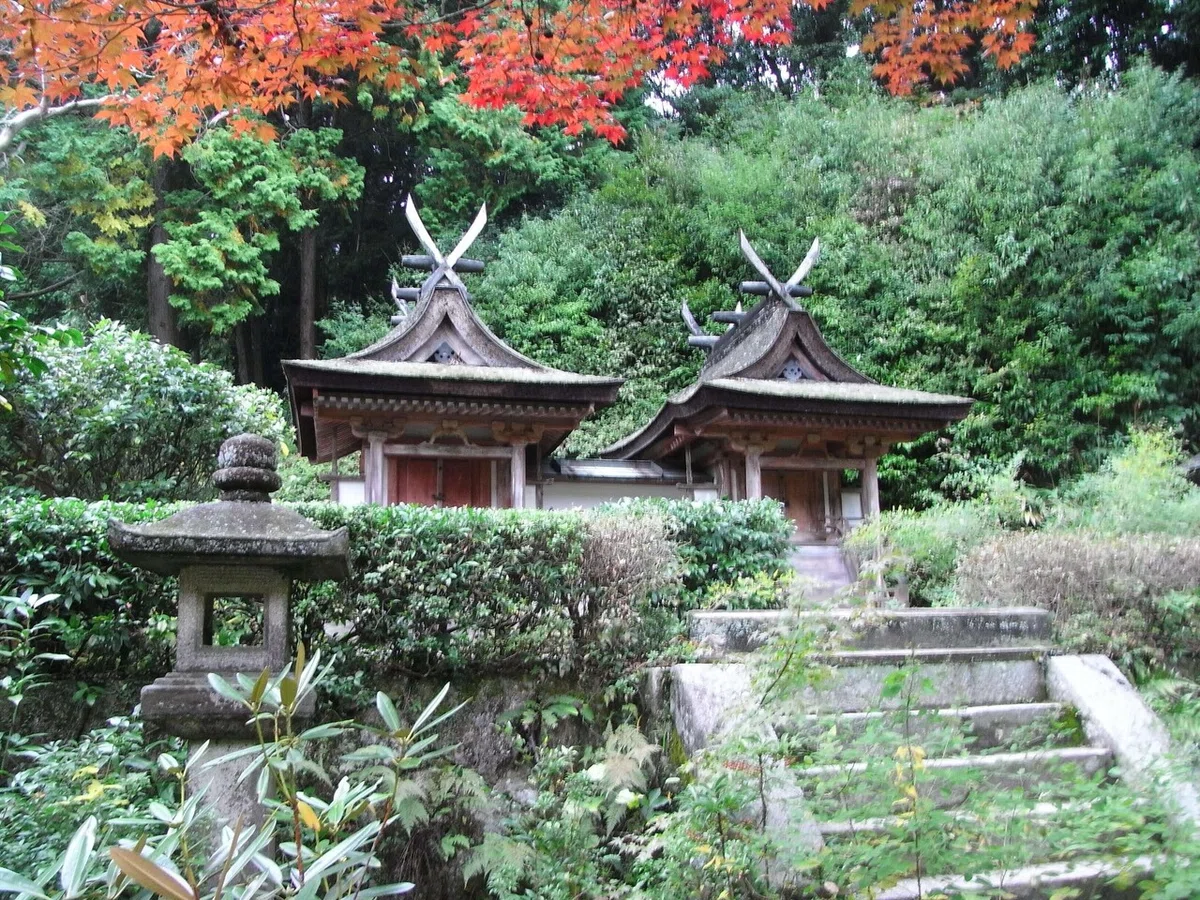 画像36