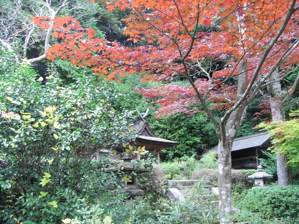 画像38