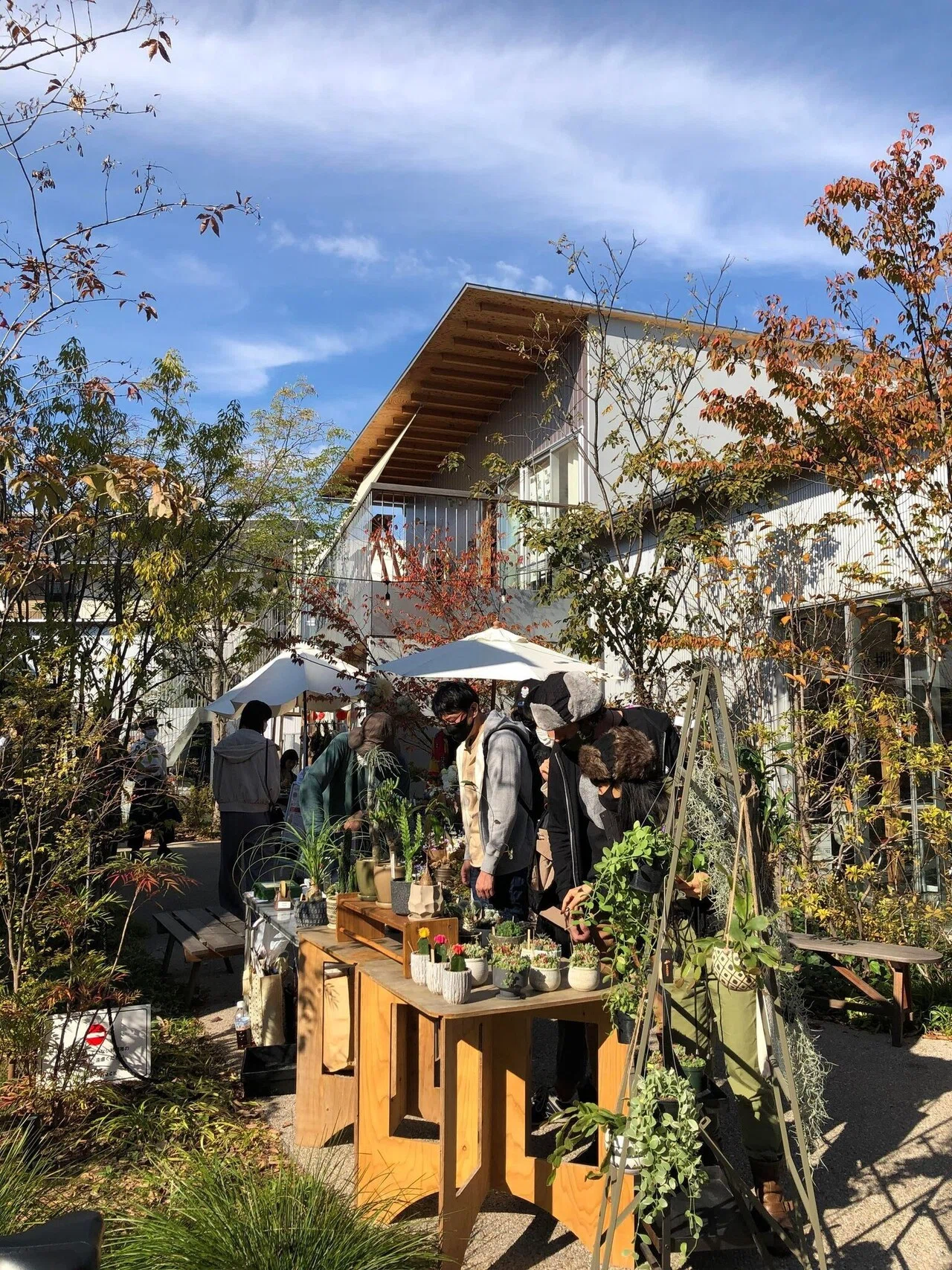 レポート】11/6（土）PLANTS Collective vol.5｜BONUS TRACK NEWS