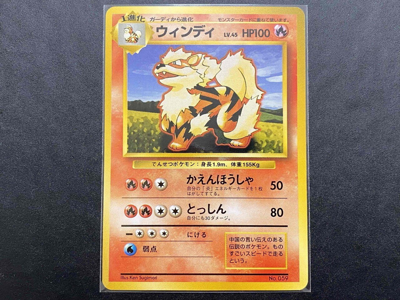 ポケモンカード 初代 旧裏(一部海外版) あなたの知らない旧裏面 初版カードの世界|せとうちレモン
