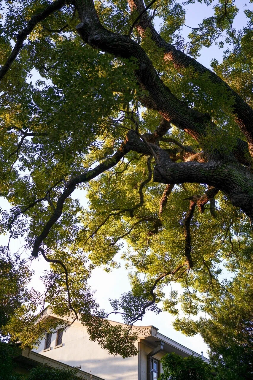名称未設定-3331