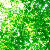 僕のパワーソング010 デーモン小暮閣下 地上の星 With群馬交響楽団 風富来人 かぜとみらいと アマチュア小説家 Note