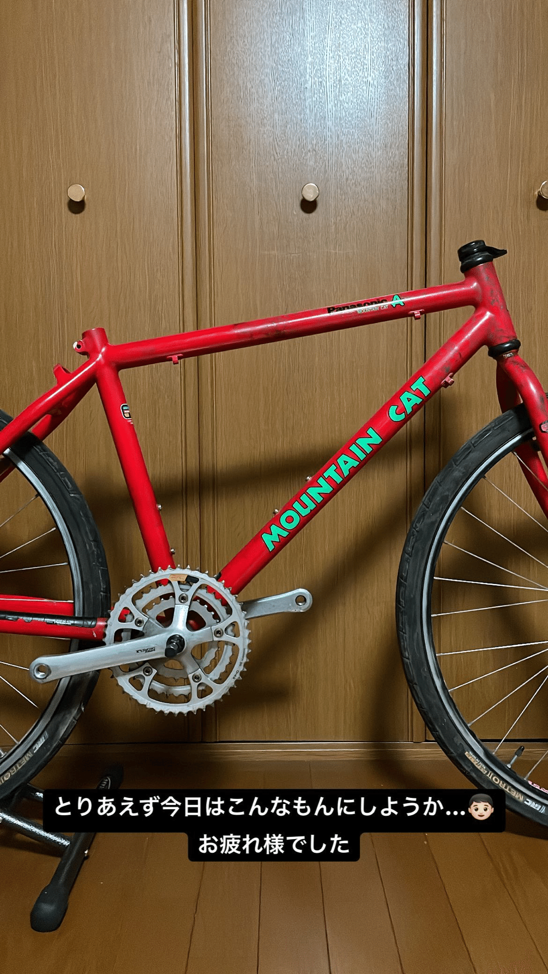 【セミレストア済】Panasonic MOUNTAIN CATヴィンテージMTB BLOG ～USED BIKE～【 MOUNTAIN CAT / マウンテンキャット by
