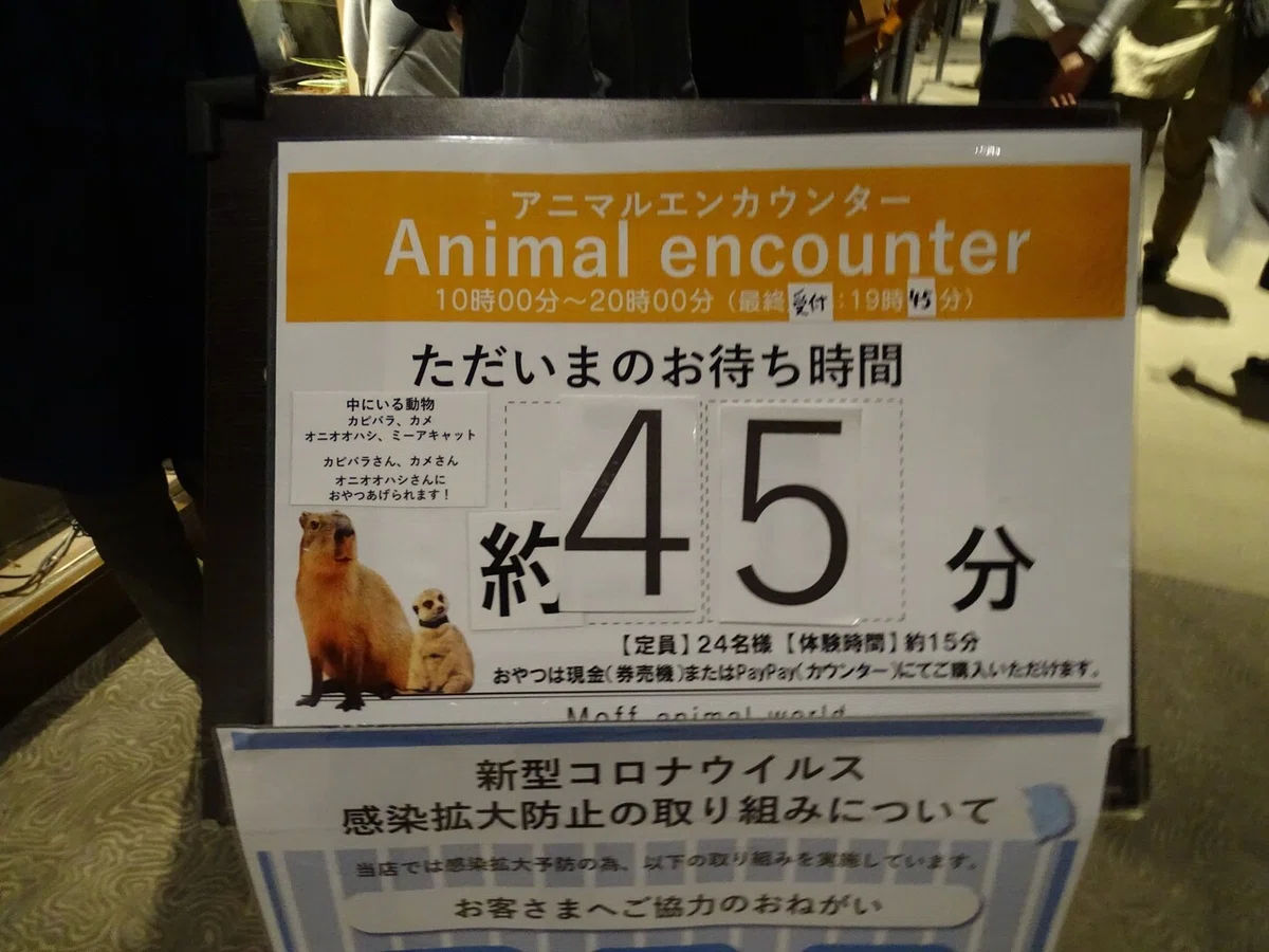 画像16