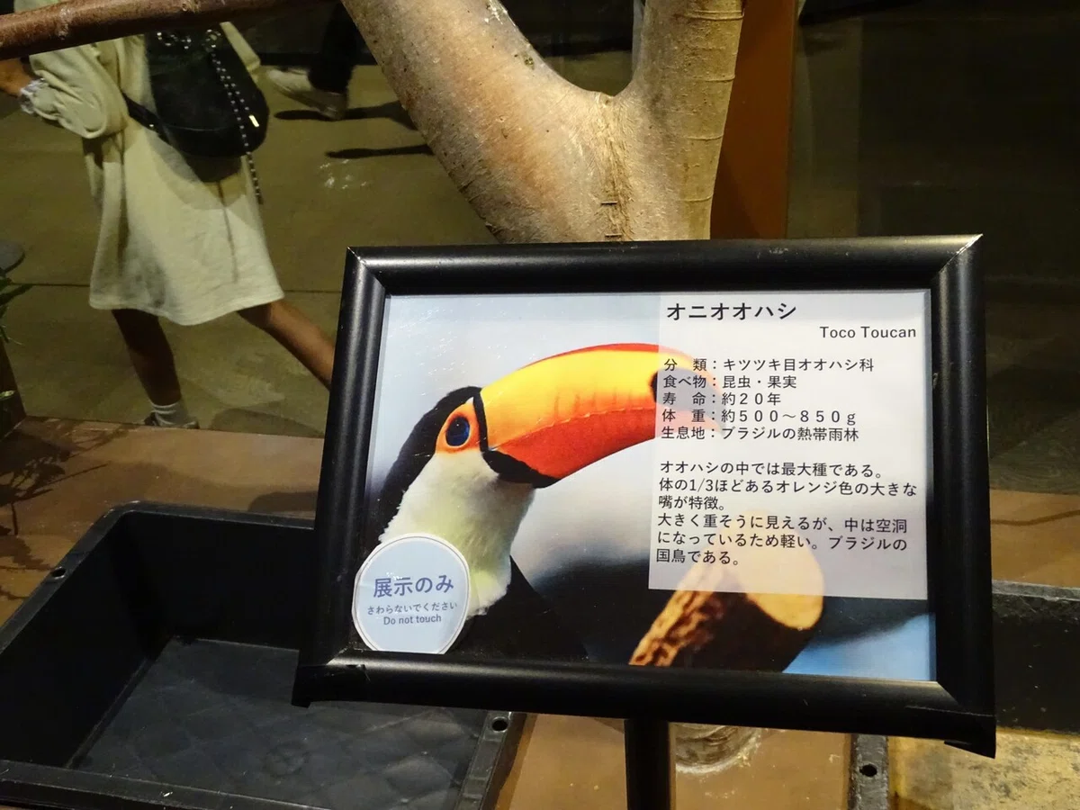 画像33