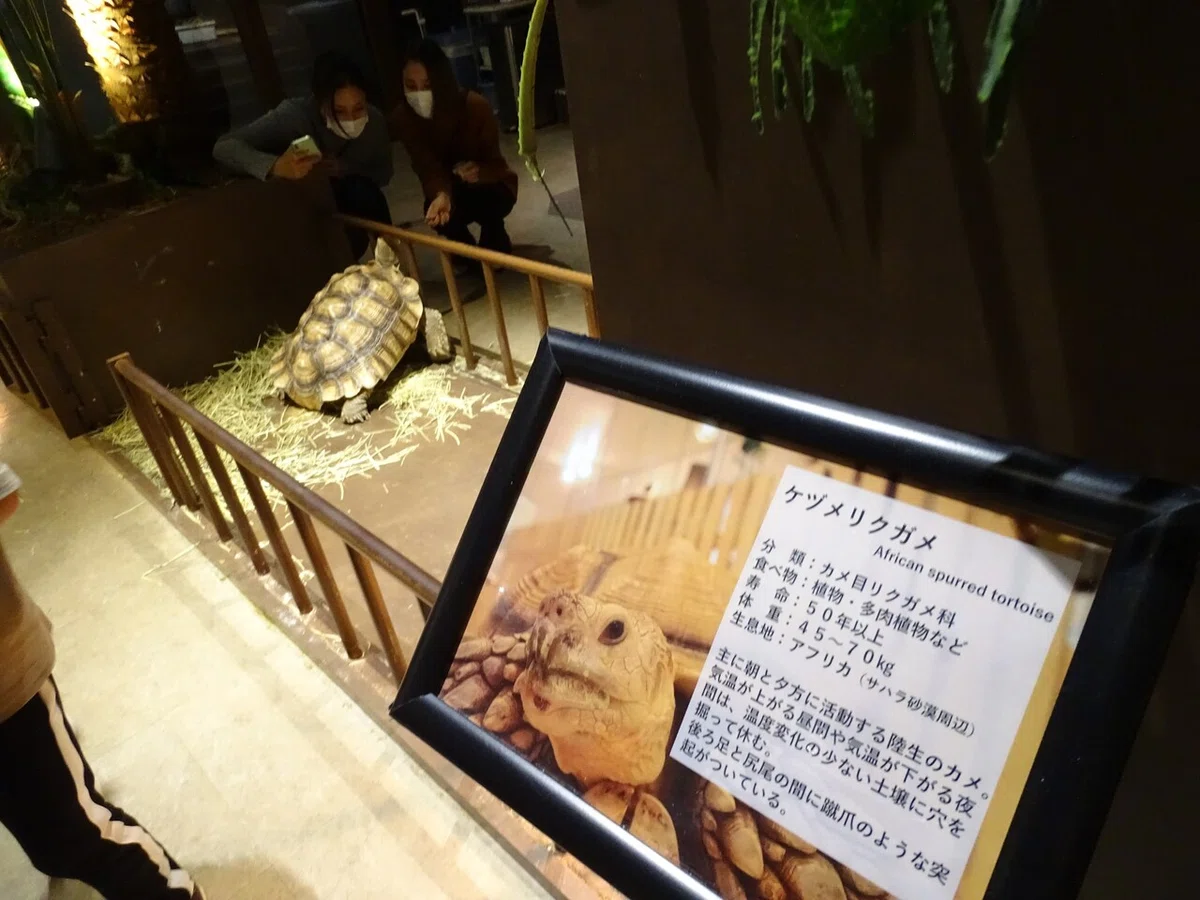 画像31