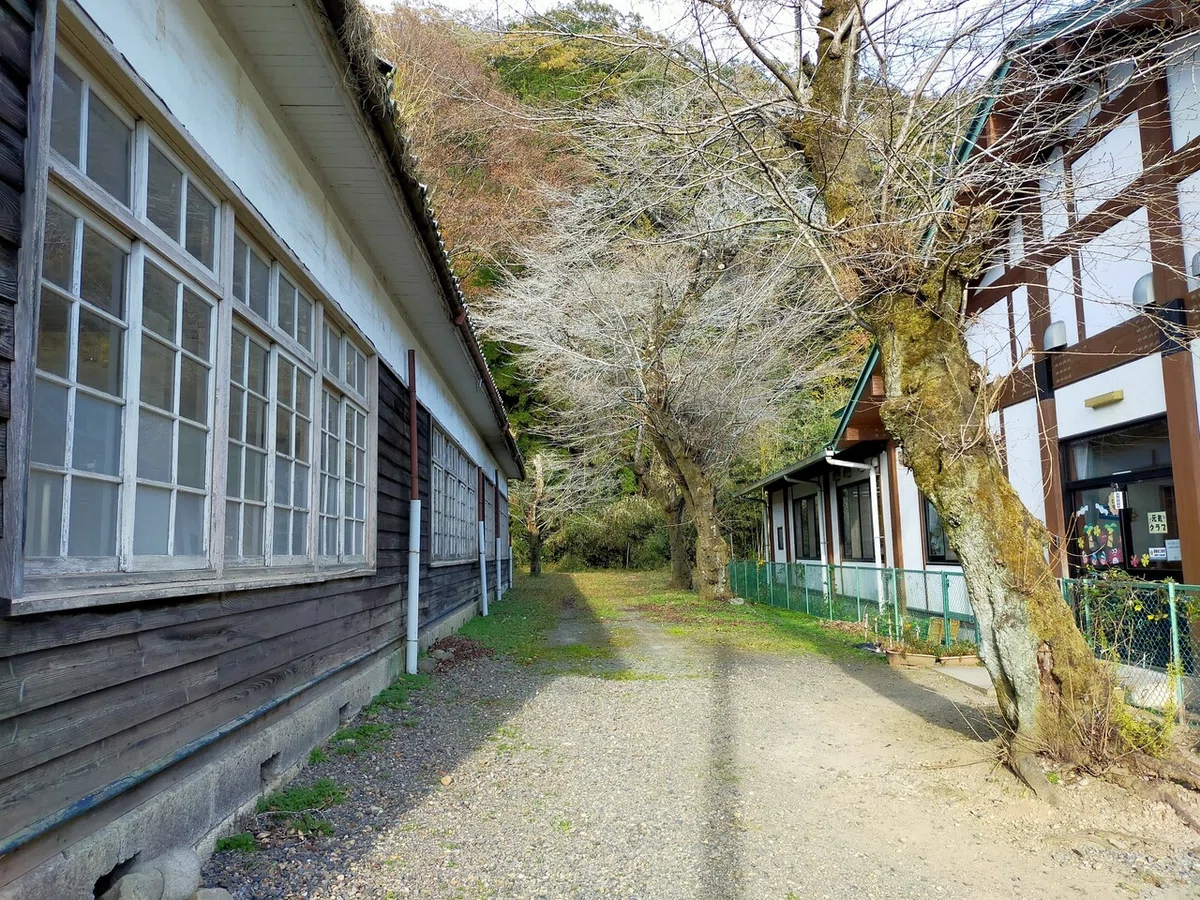 画像36