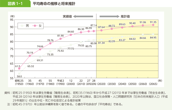 pet16サブ