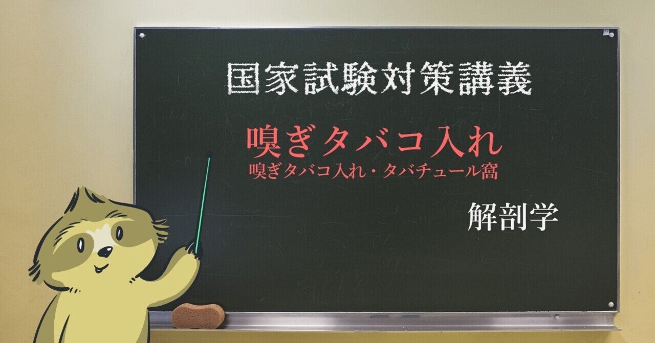 【解剖学】図解(イラスト)とゴロで簡単「嗅ぎタバコ入れ」の覚え方