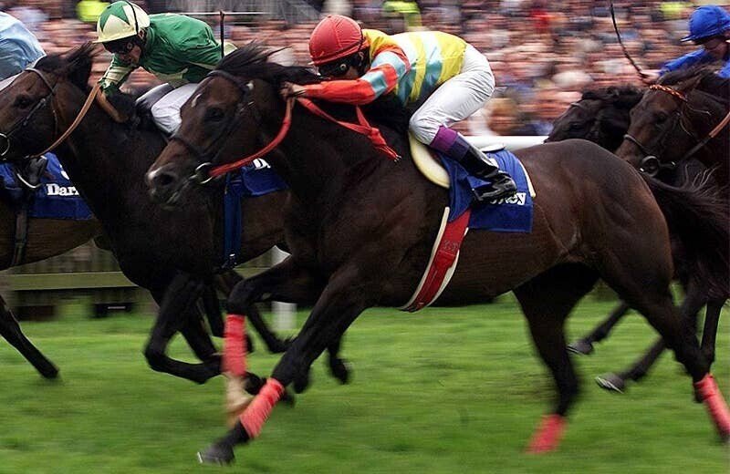 ウマ娘で学ぶ競馬史 #19 群雄割拠 (1999〜2000)|マツウラ ウマ娘で学ぶ競馬史 #19 群雄割拠 (1999〜2000)|マツウラ
