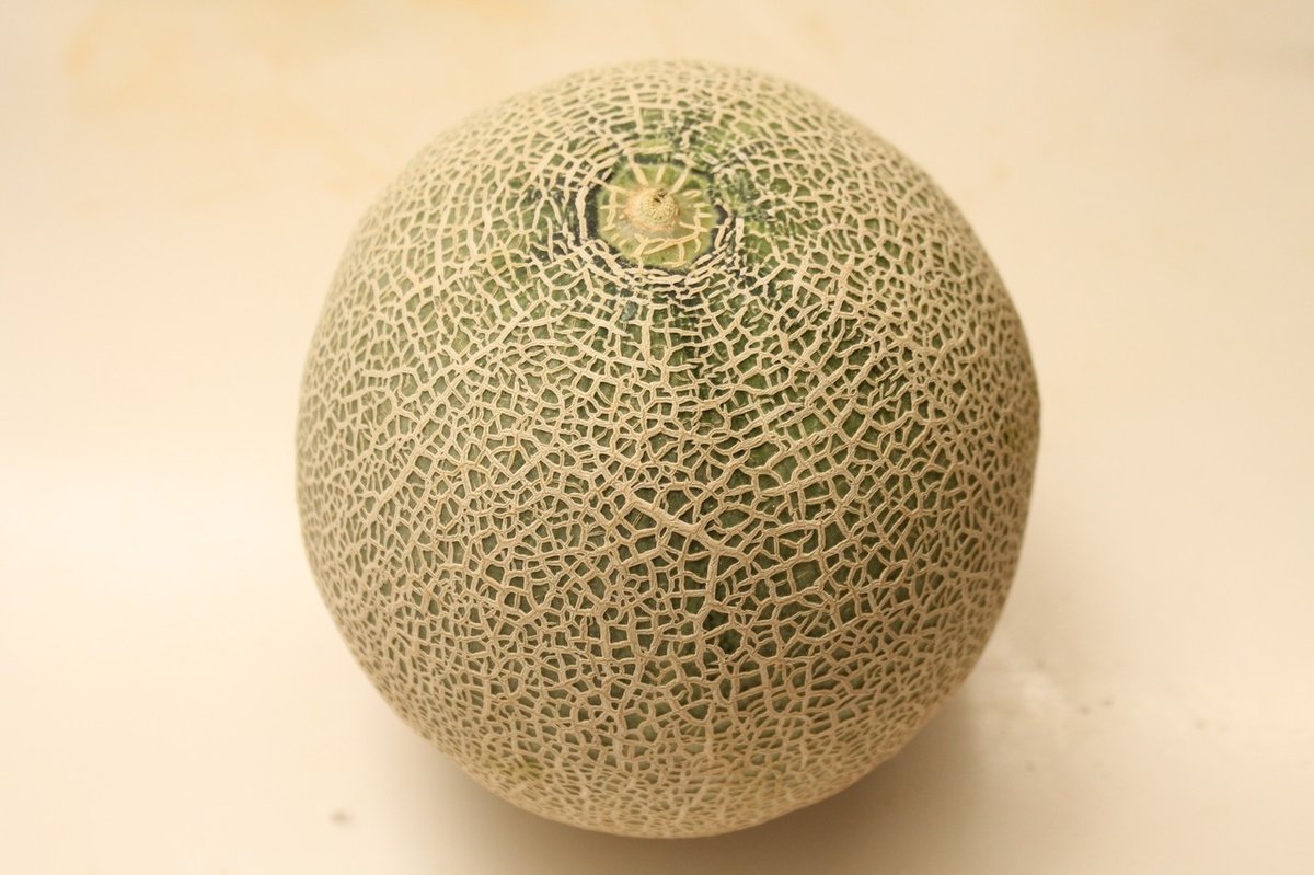 メロンモッツァレラの作り方｜樋口直哉(TravelingFoodLab.) 