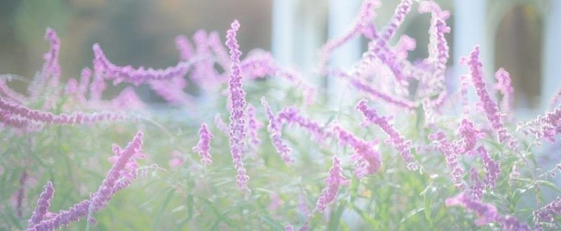 ハンドメイド作家の黒いあるある の新着タグ記事一覧 Note つくる つながる とどける