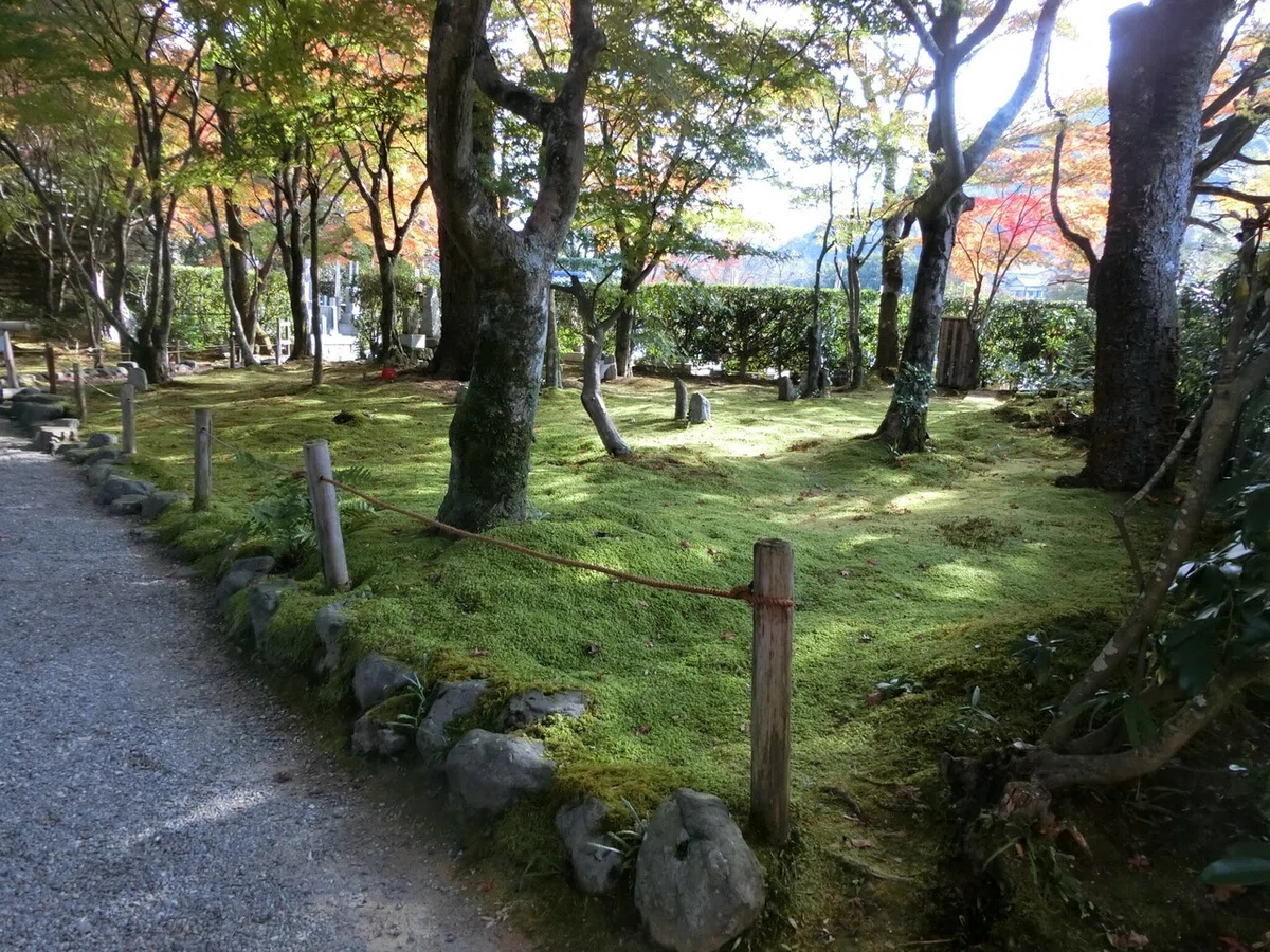 画像7