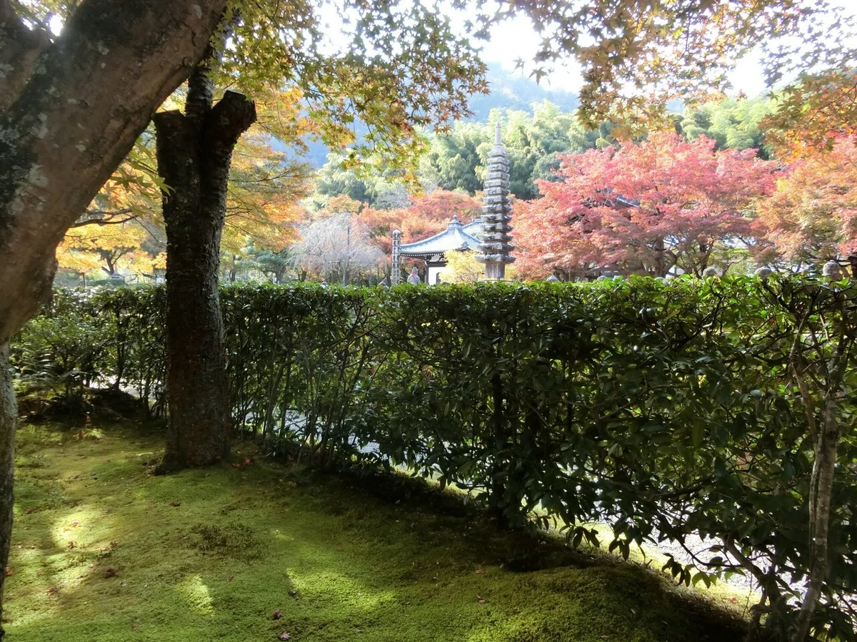 画像7