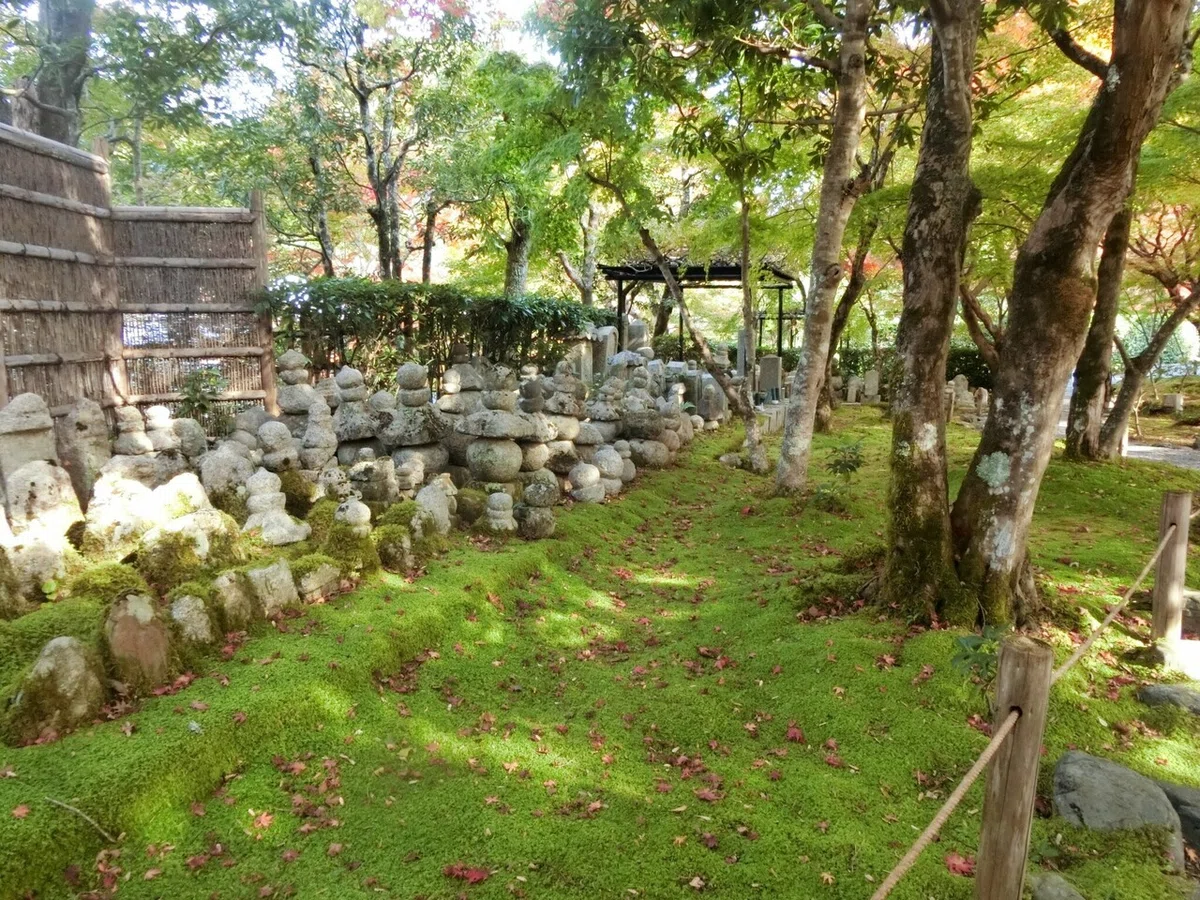 画像8