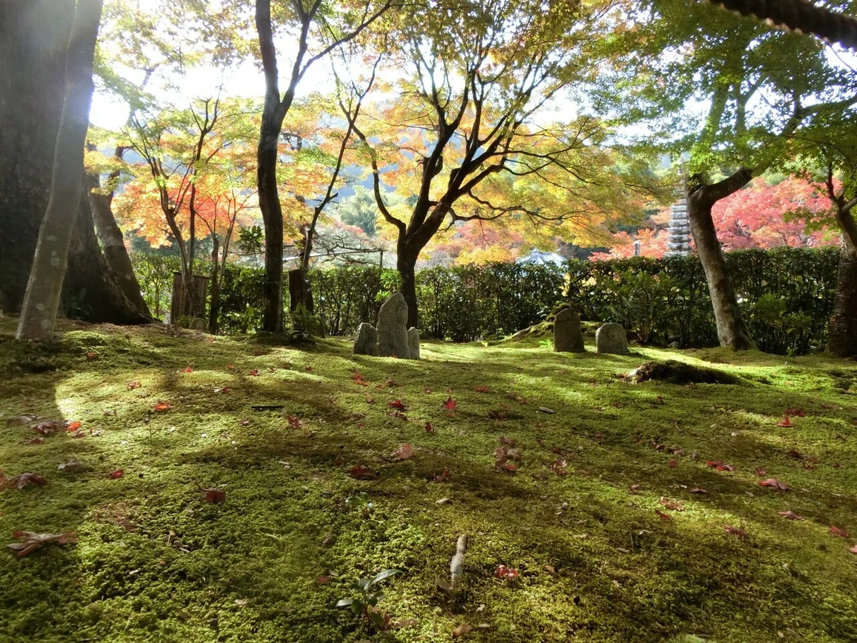 画像9