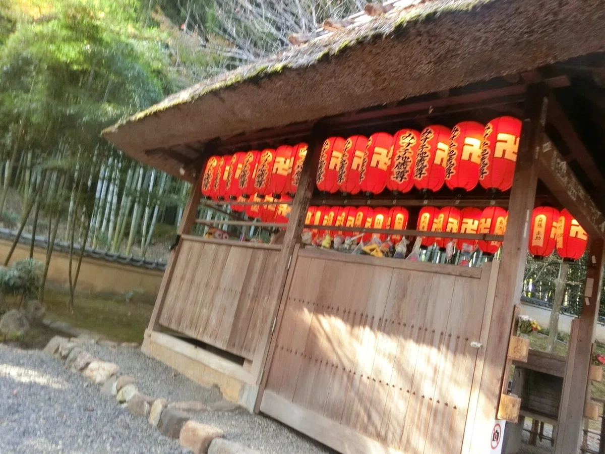 画像12