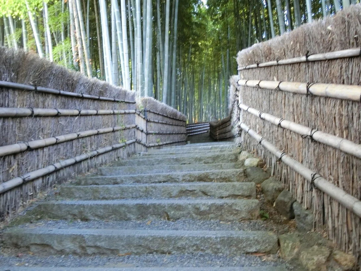 画像13