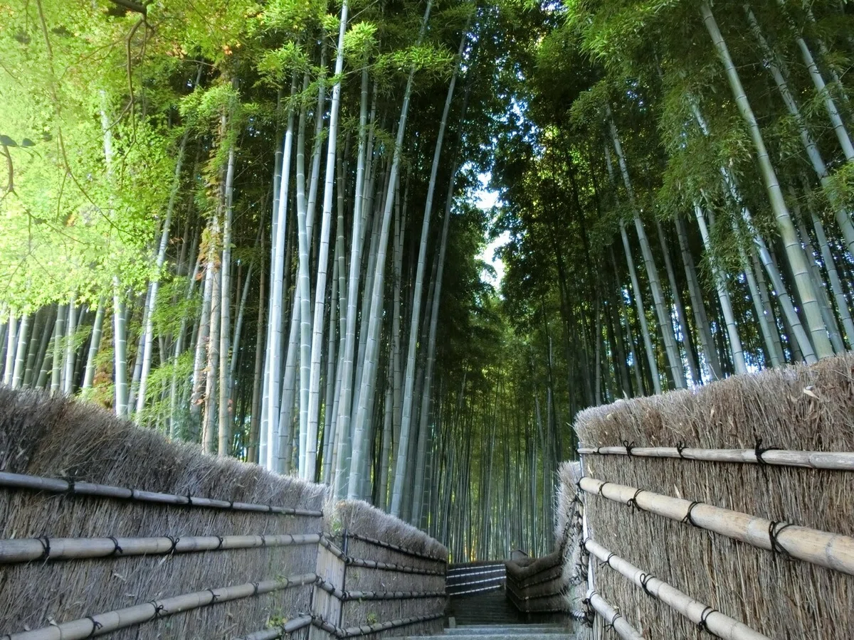 画像14