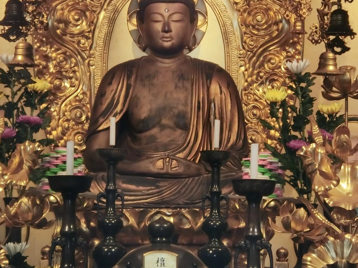 画像18