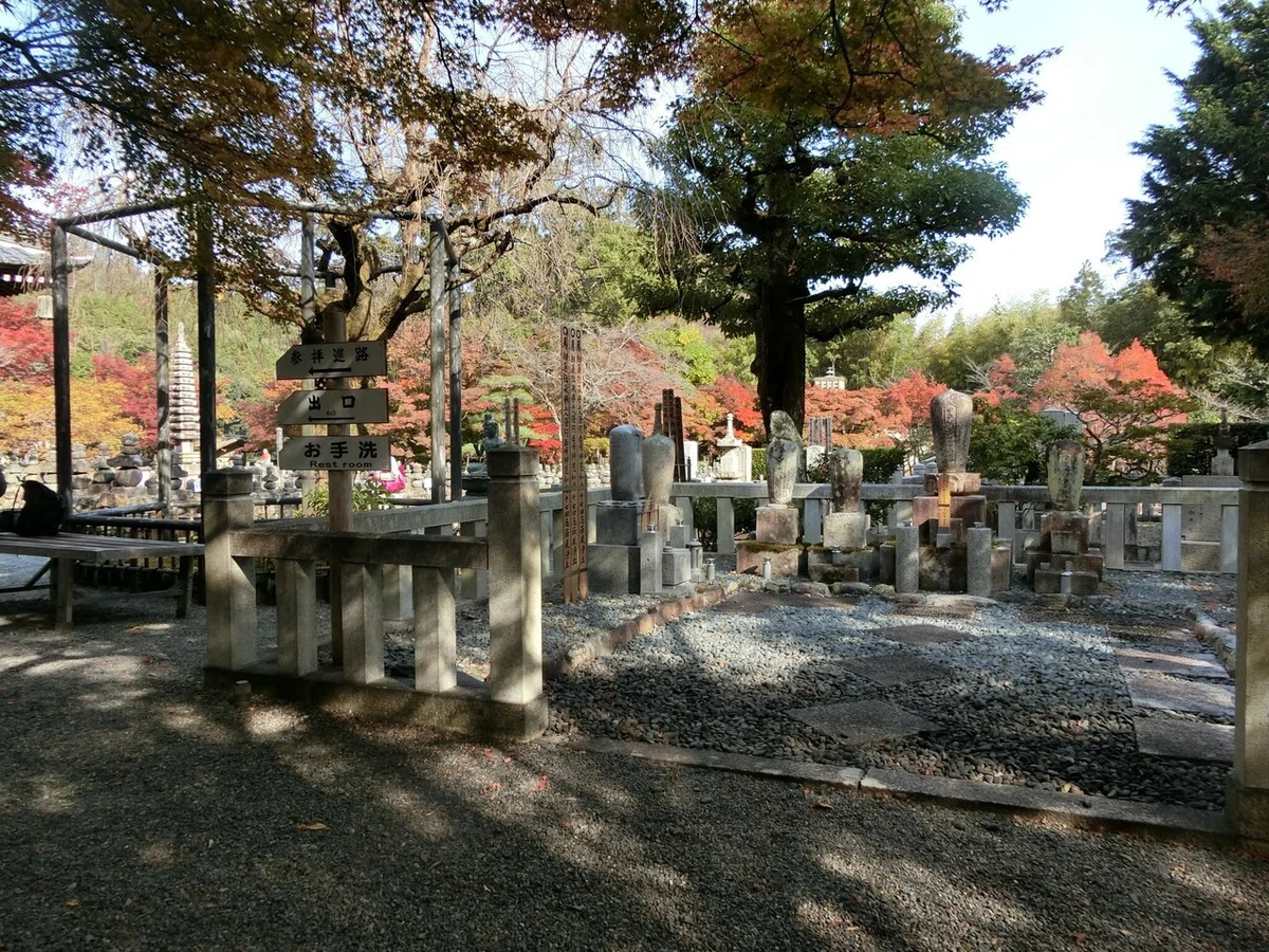 画像20