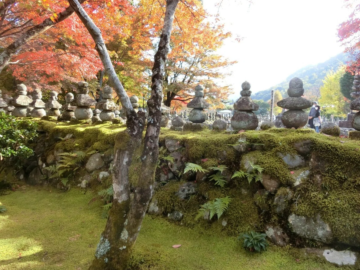画像24