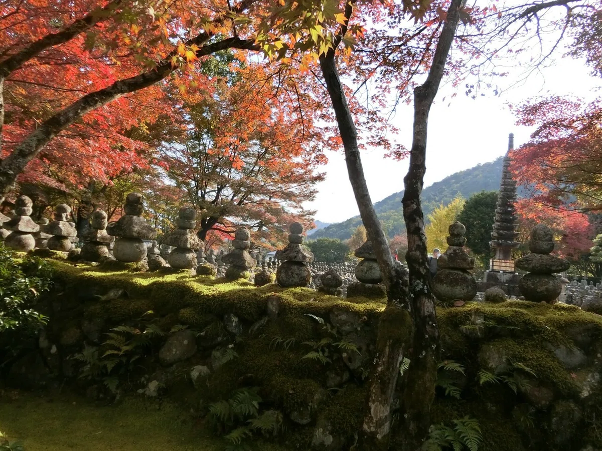 画像25