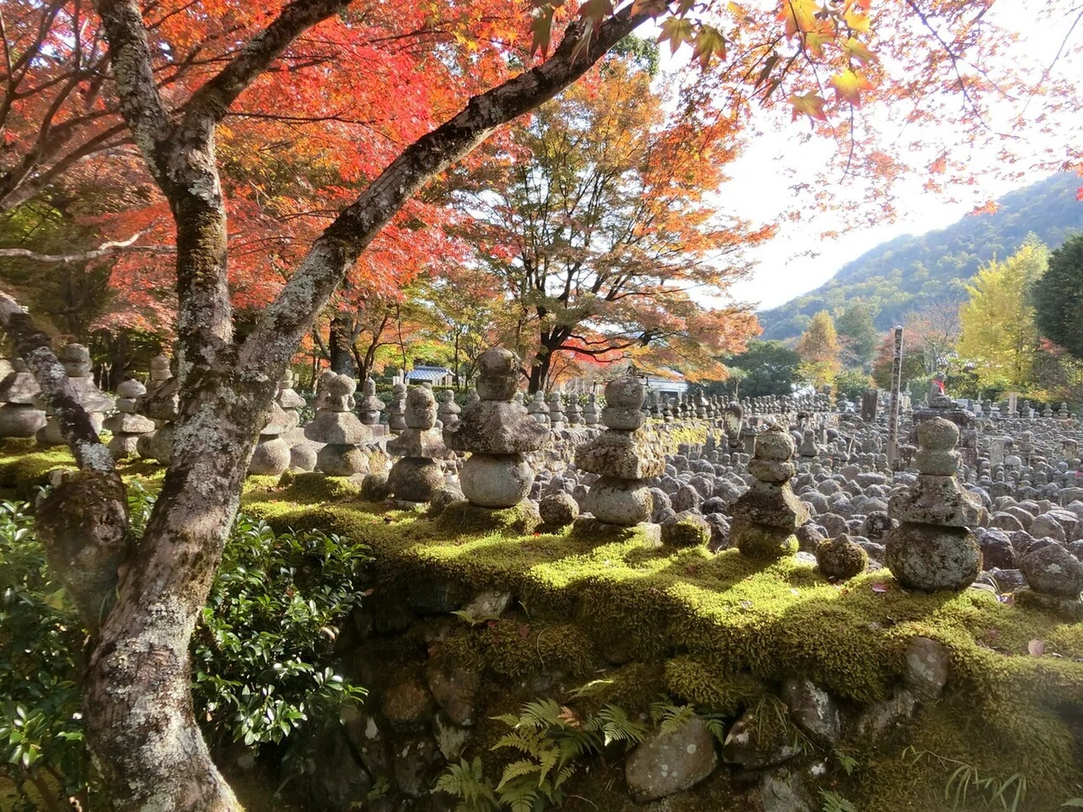 画像26