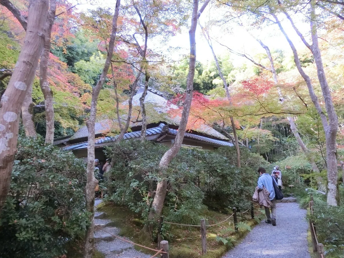 画像7