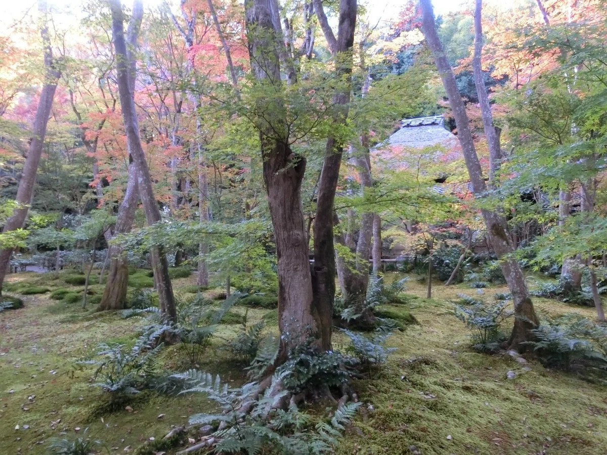 画像10