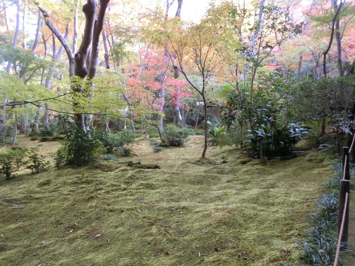 画像12