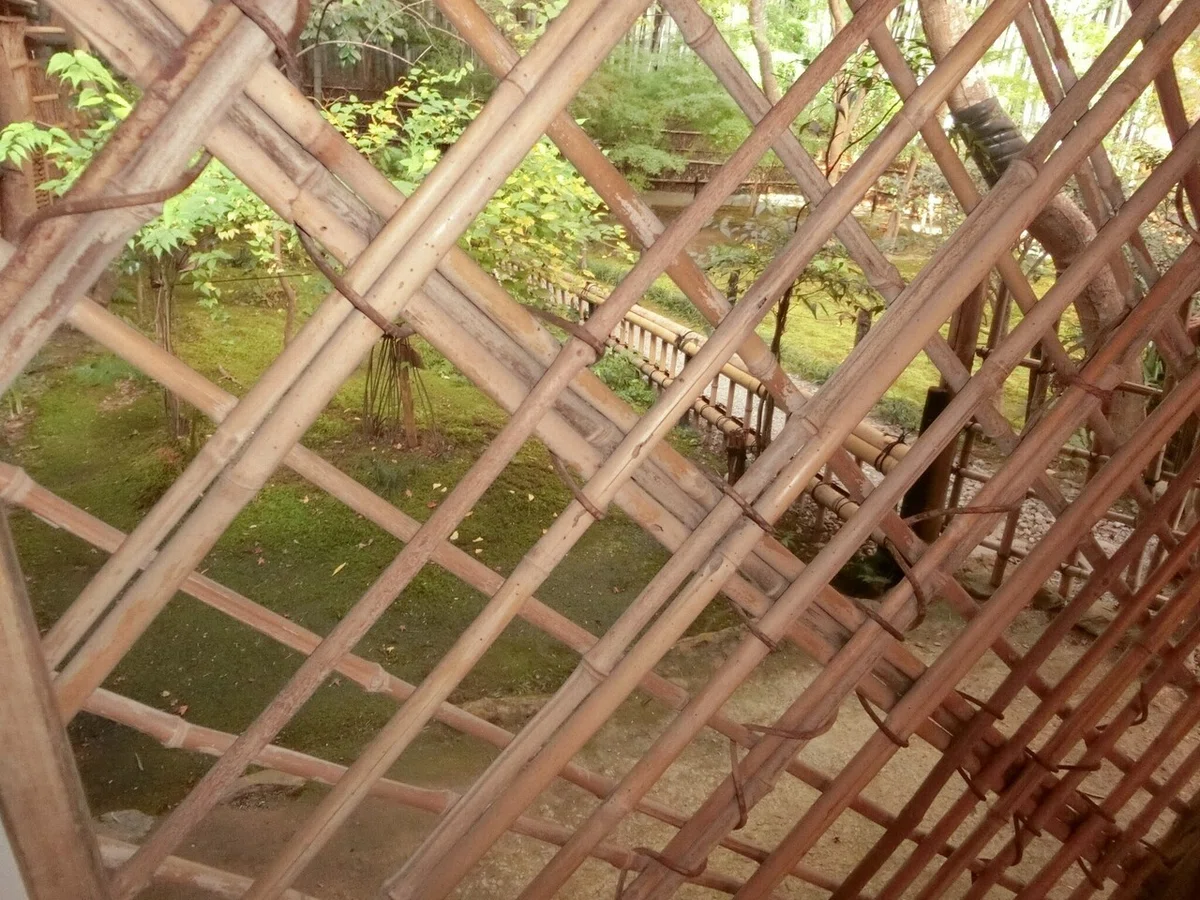 画像15