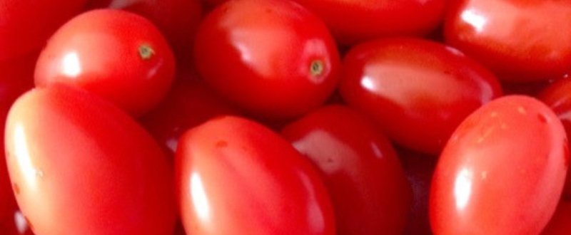 トマトのリコピンで紫外線から肌を守る